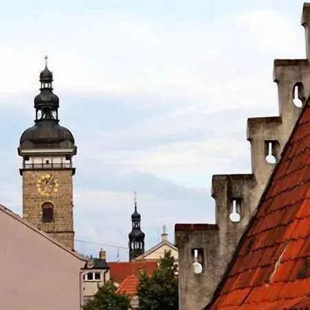 ホテル クリカ チェスケー・ブジェヨヴィツェ